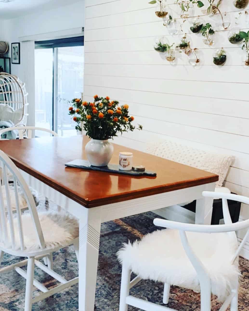 White Shiplap Wall Showcases Hanging Glass Planters