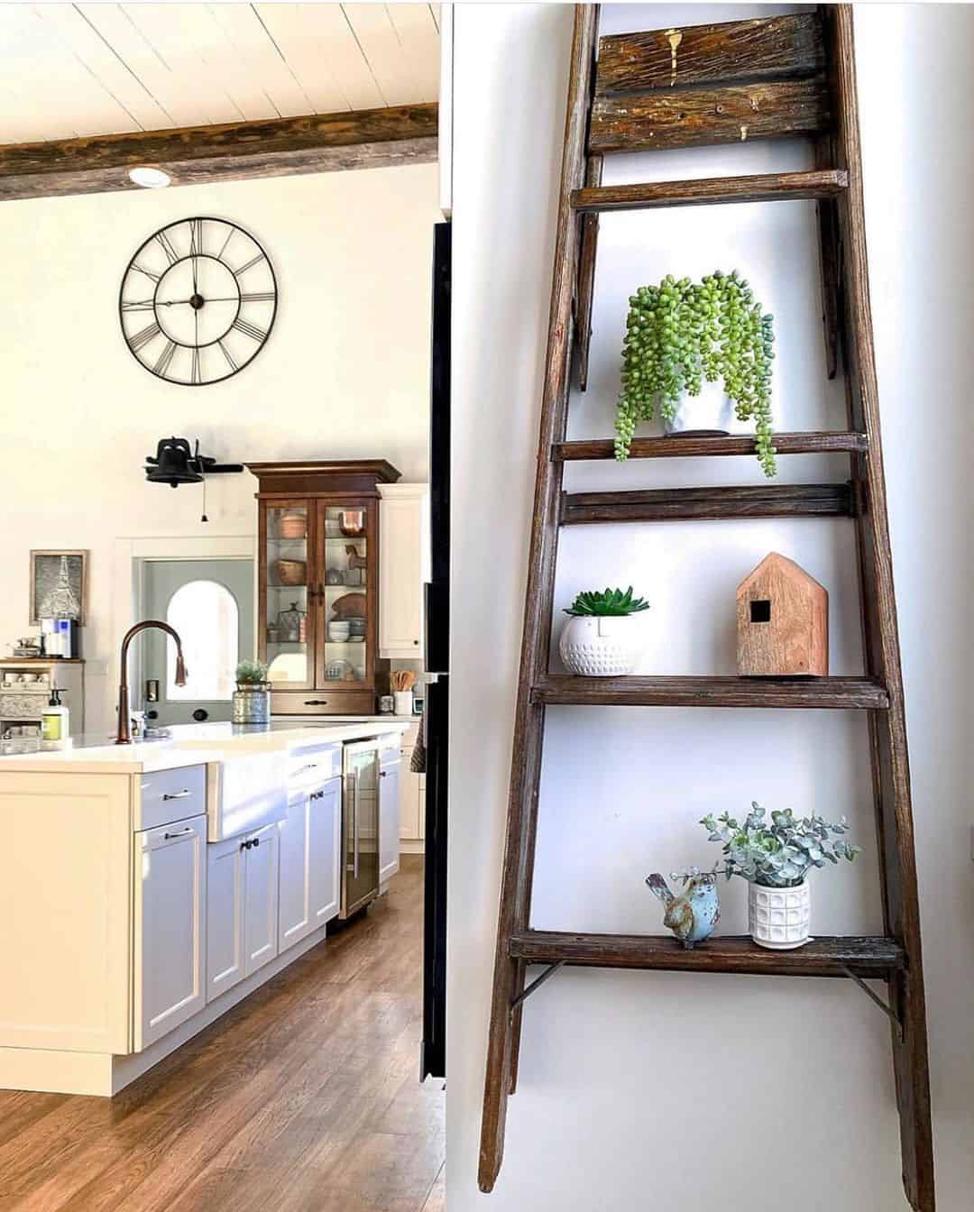 Leaning Ladder Displays Potted Plants and Small Decor
