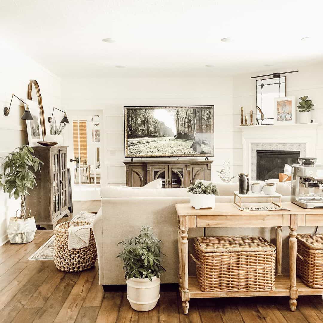 Tall, Narrow Cabinet Displays Plants and Artwork