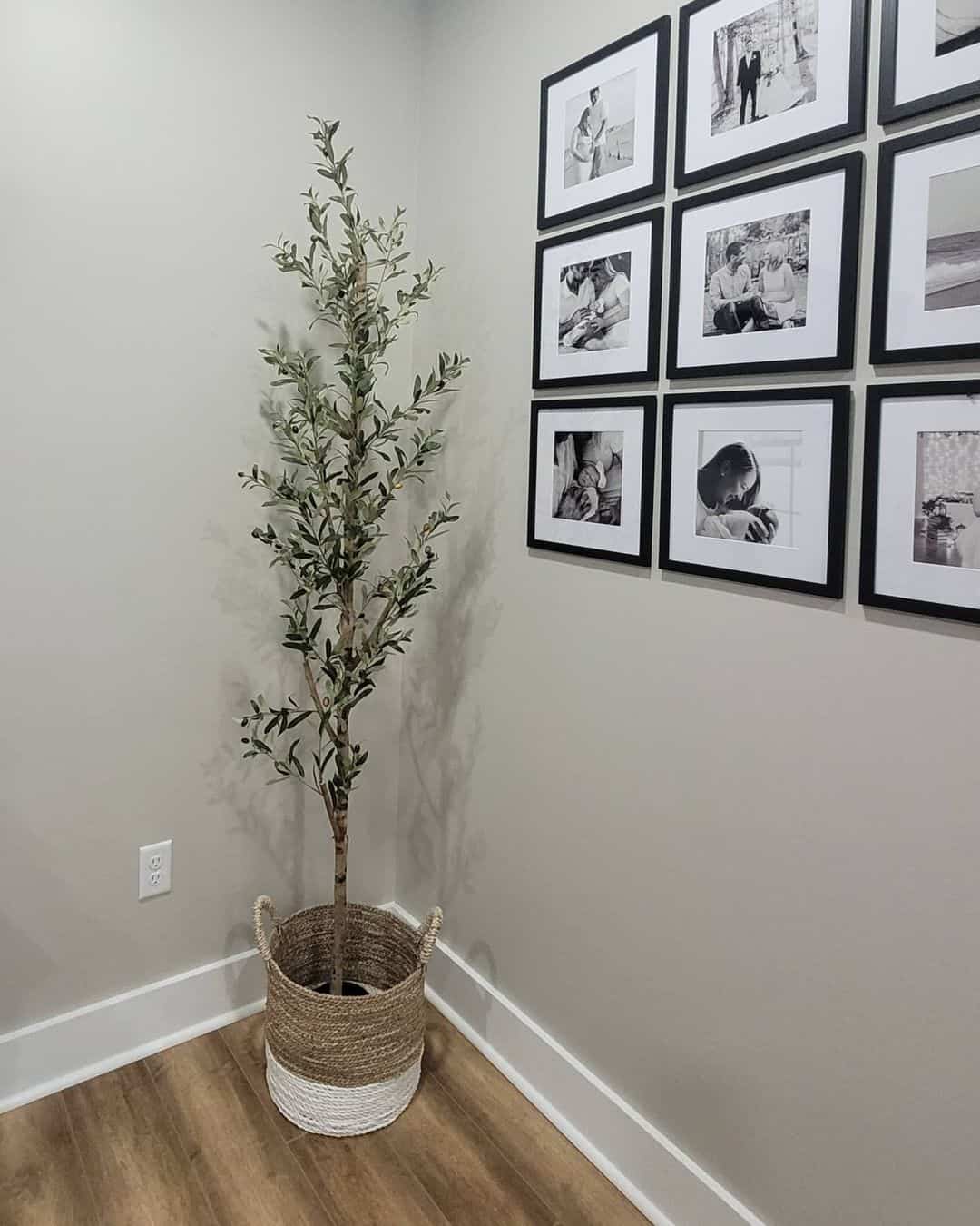 Tall Faux Tree in Woven Basket Adds Life to a Corner