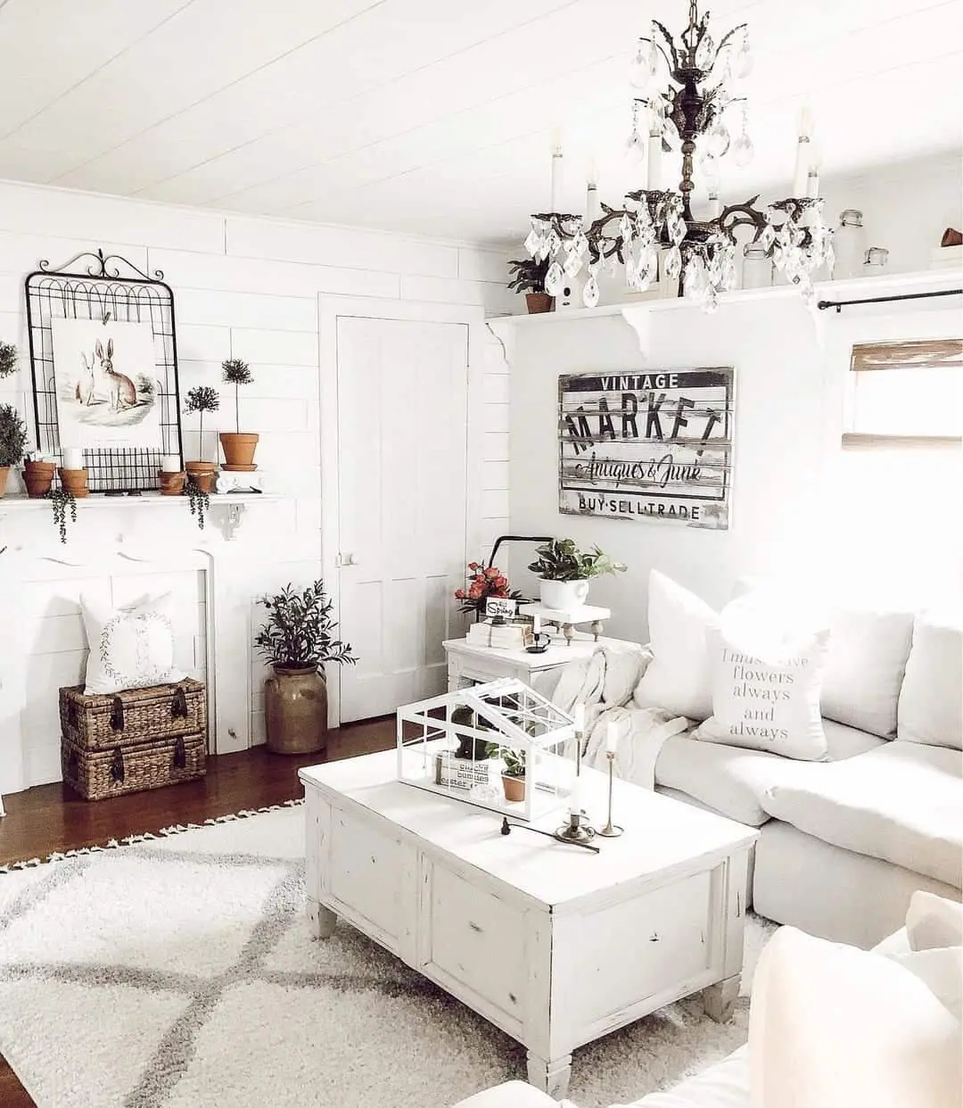 White Coffee Table Doubles as a Display for a Miniature Greenhouse