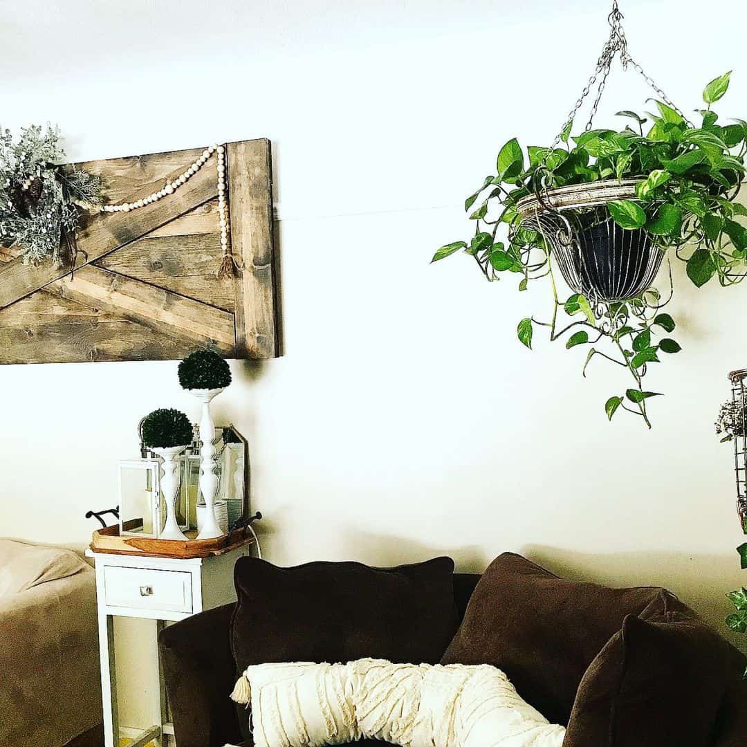 Hanging Planter Adds Lush Greenery Above Sofa