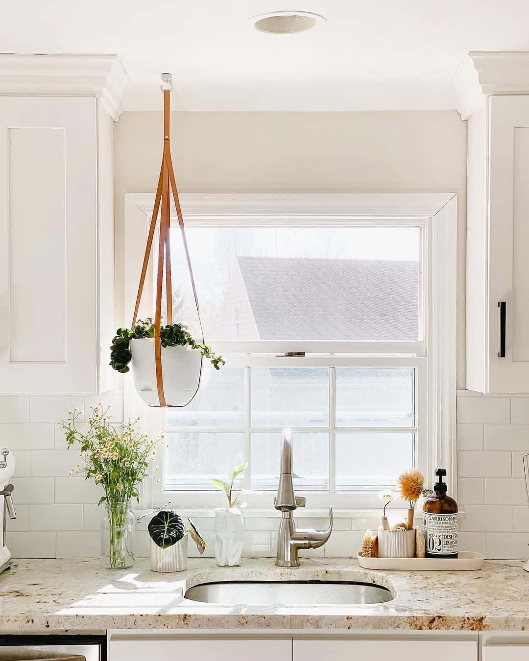 Leather Hanger Adds Vertical Greenery Above the Sink