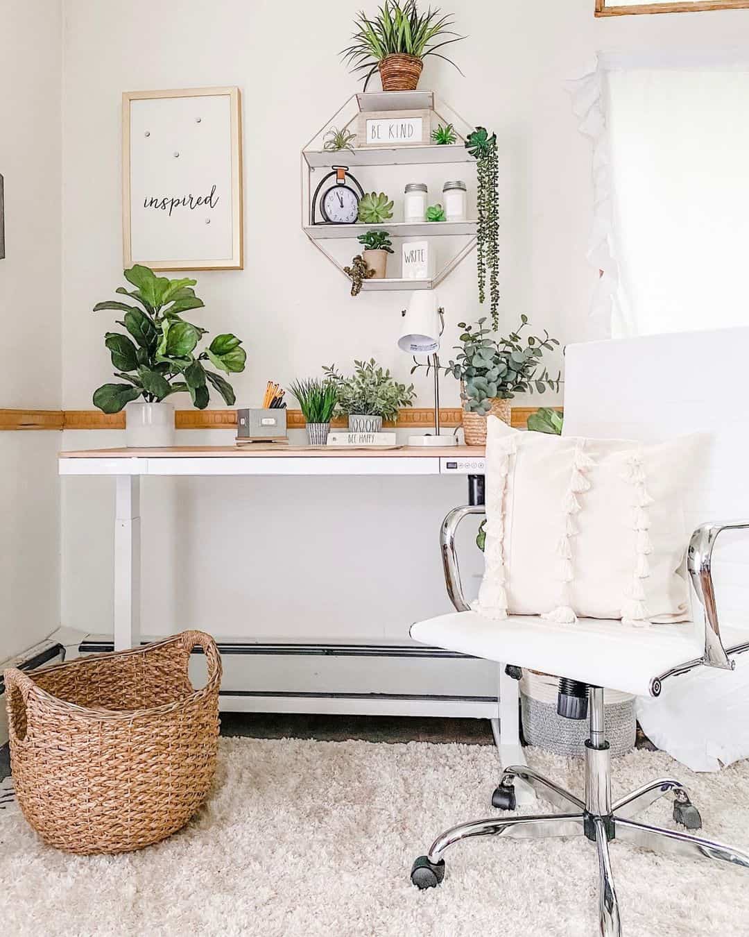 Geometric Wall Shelf Displays Desk Plants and Decor