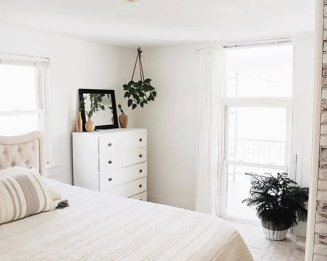 Hanging Plant Adds Organic Shape