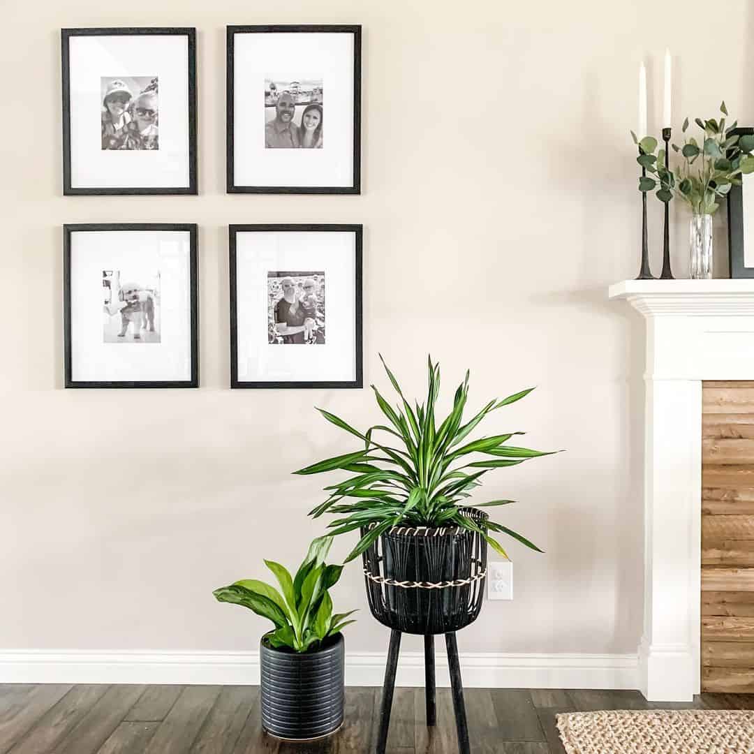 Black Planters Add Height To Greenery