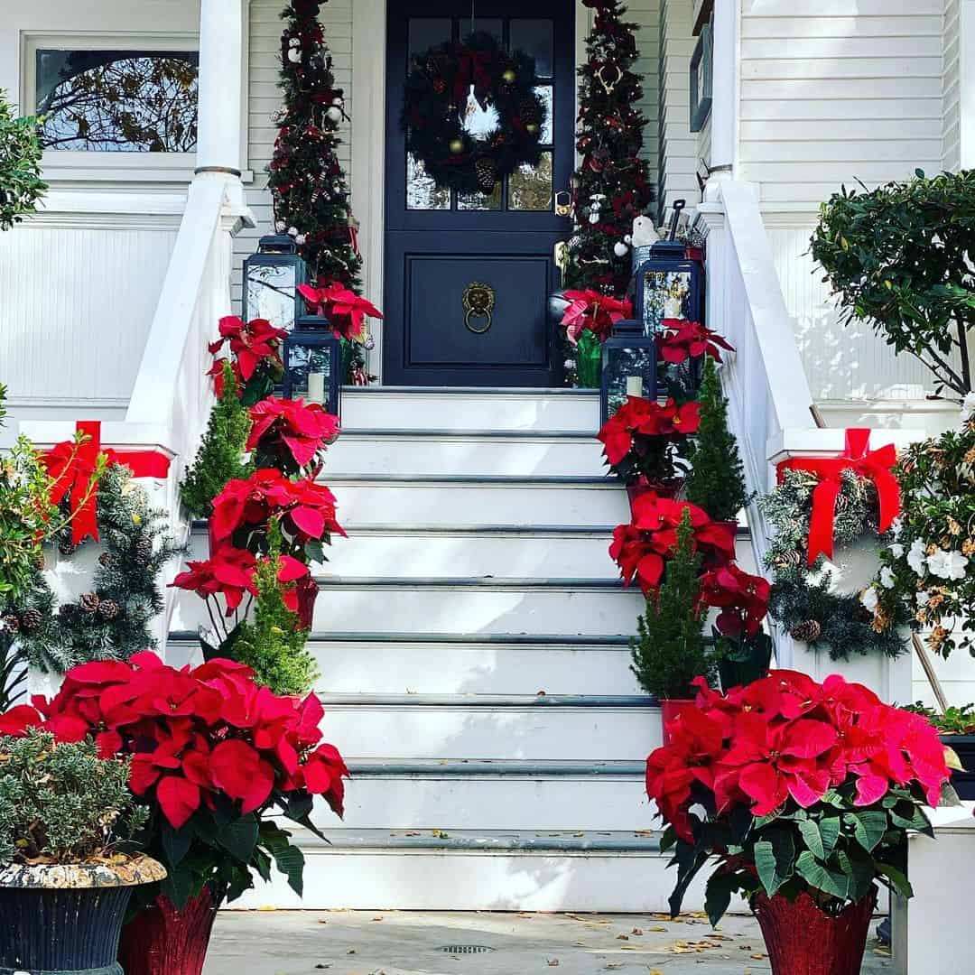 Festive Poinsettias and Mini Trees Line Your Porch Steps