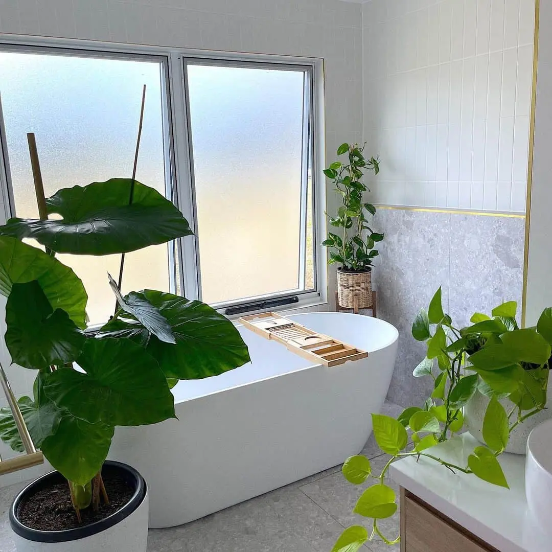 Tall Plants Create a Natural Screen for Your Tub