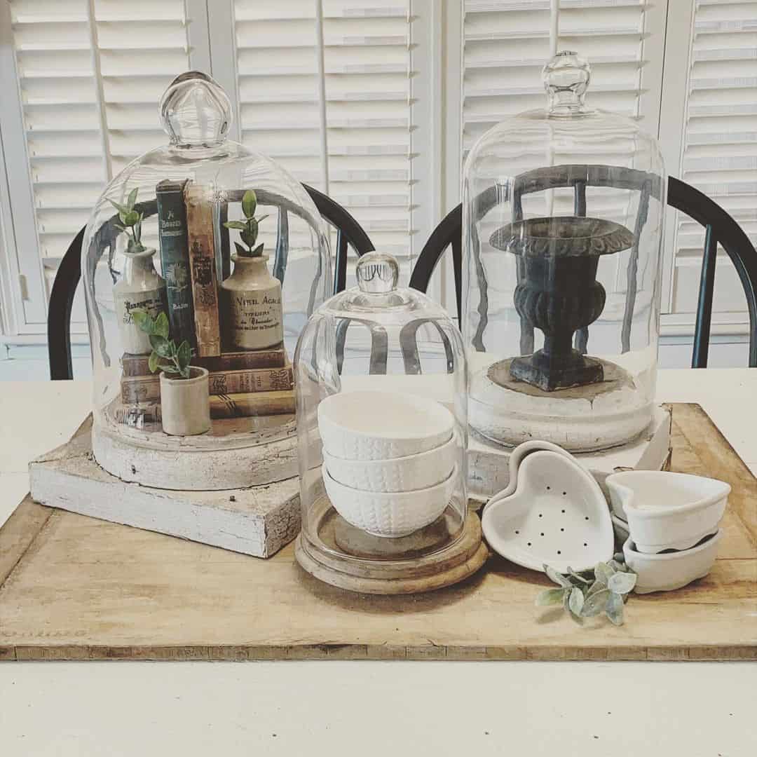 Showcase Books and Vases Under Glass Domes