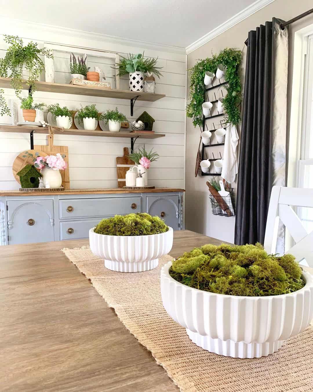 Fluted White Bowls Filled With Green Moss