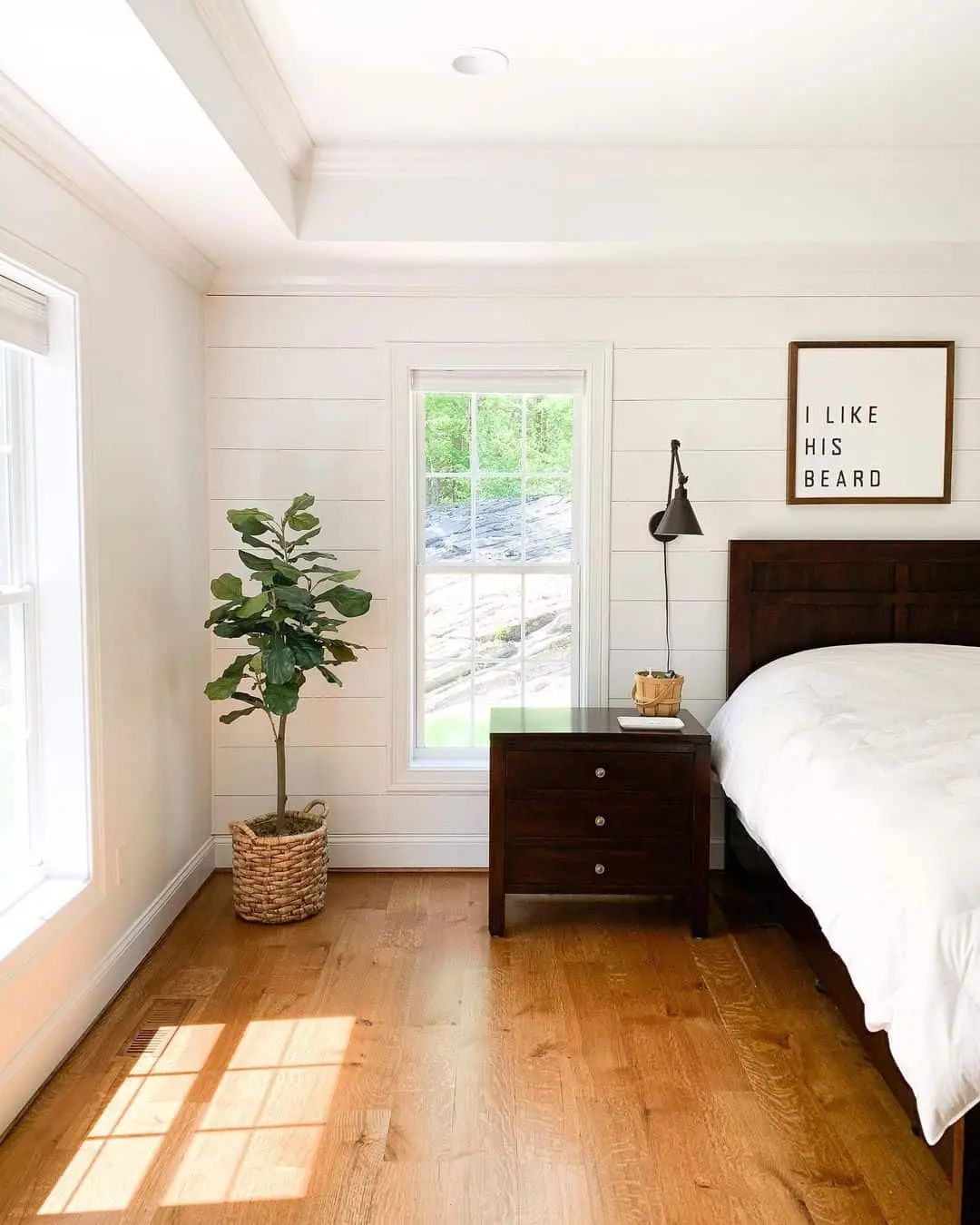 Bring Nature Indoors with a Fiddle Leaf Fig Plant