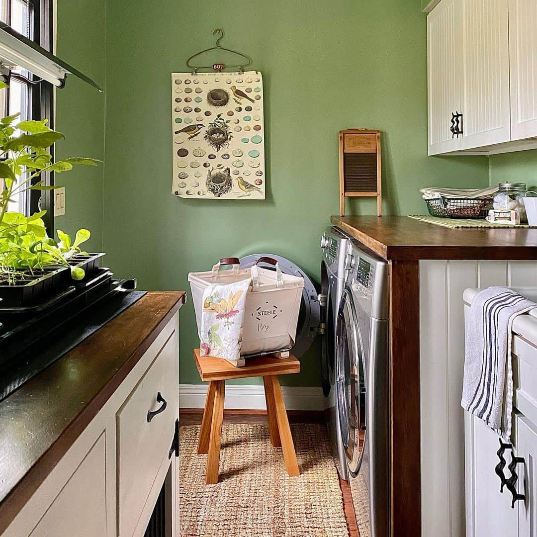 Vintage Bird Chart Adds Natural Art Above Laundry Machines