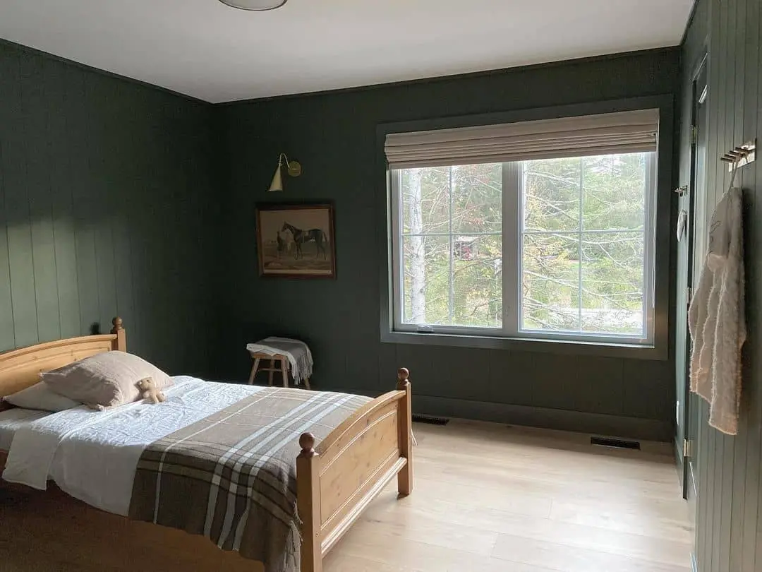 Paneled Dark Green Walls Create an Enveloping Atmosphere