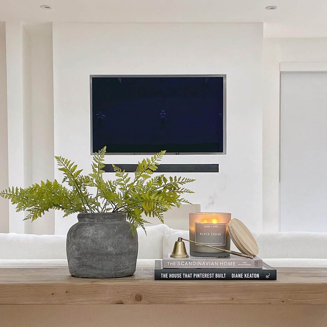 Minimalist TV Wall with a Single Greenery Display