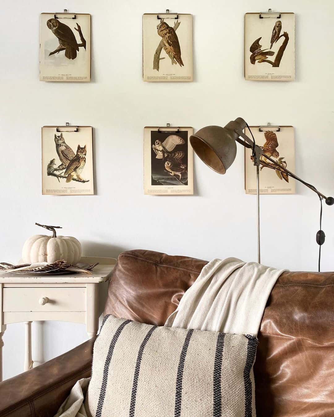 Frame Owl Illustrations on Clipboards for a Flexible Gallery Wall
