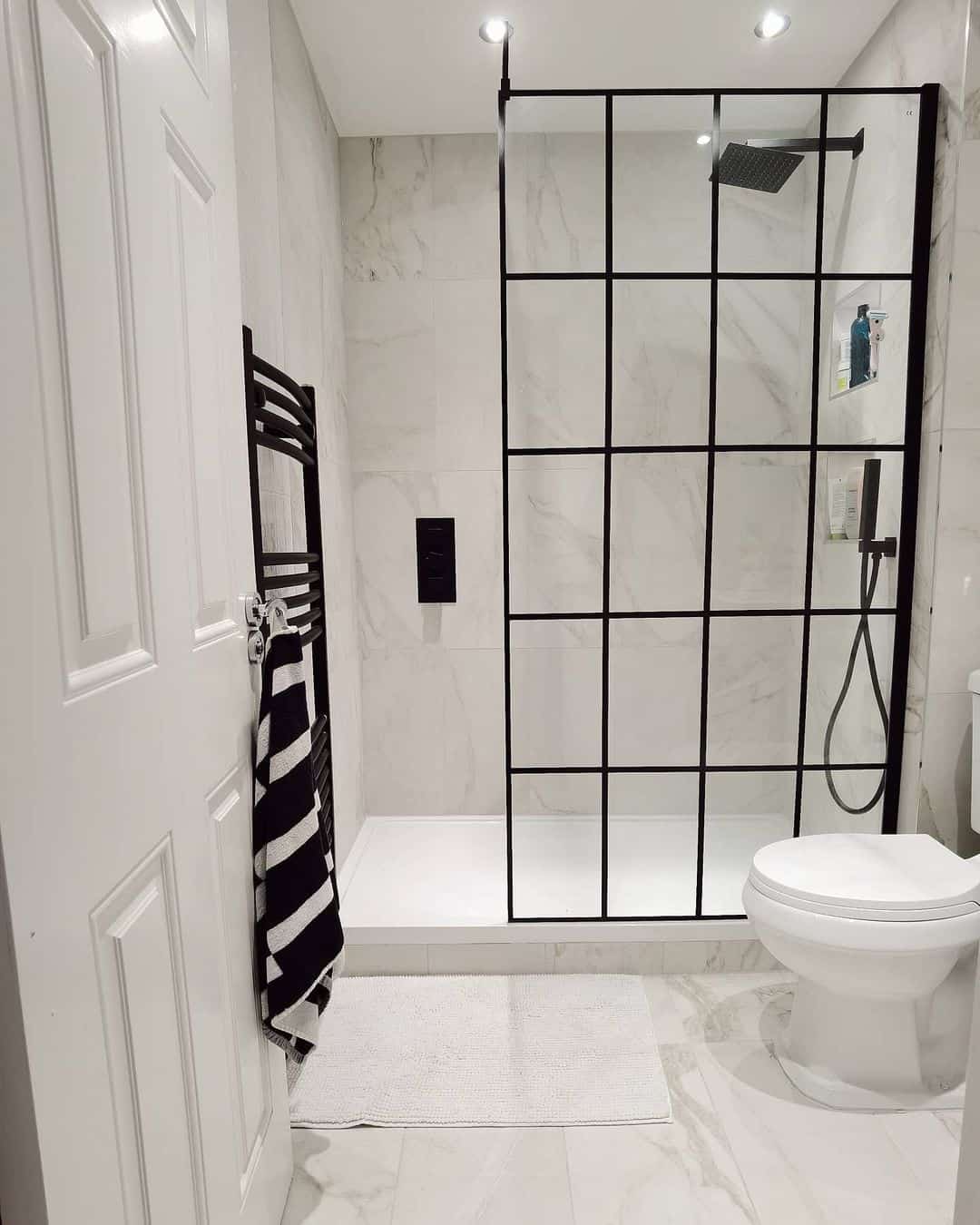 Black Grid Shower Enclosure with Matte Finish